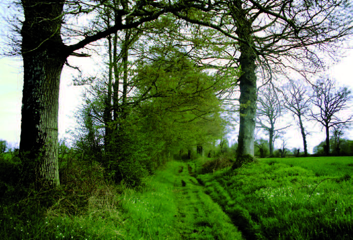 Circuit VTT n°33, Villard - photo 2