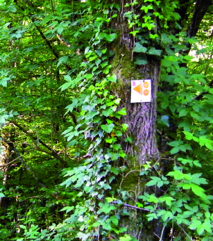 Circuit VTT n°36, Nouzerolles - photo 2