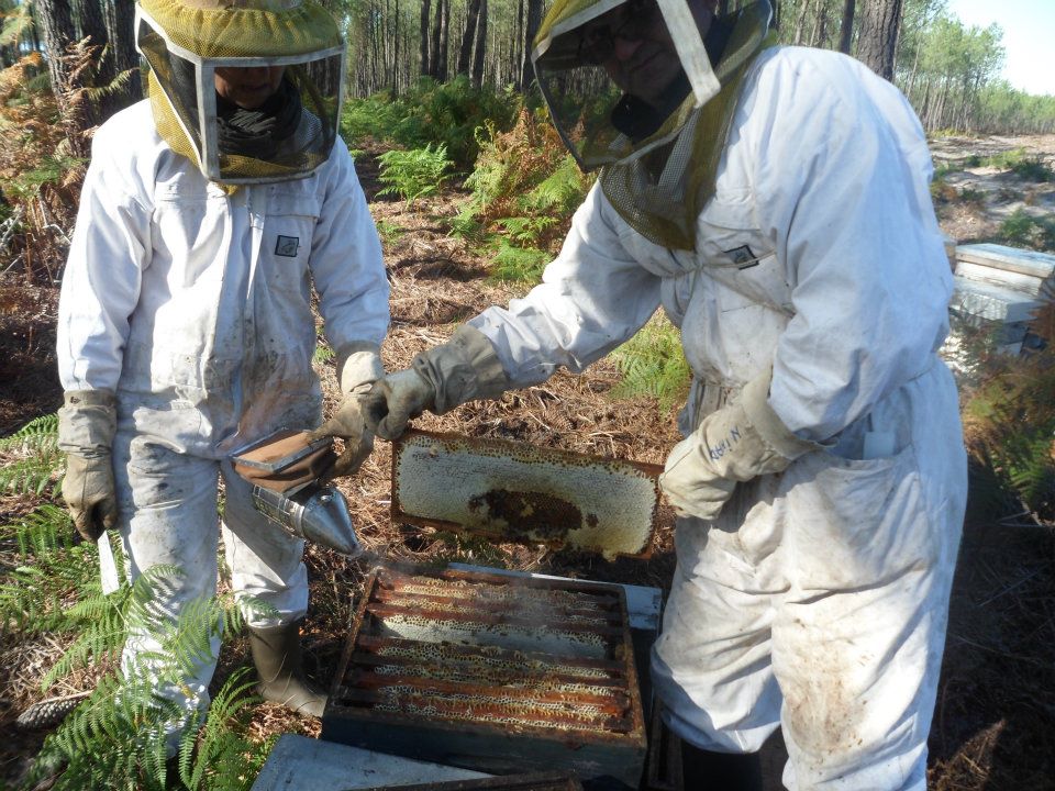 Le Rucher de Claron - photo 4