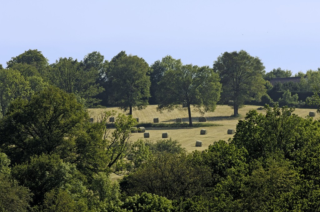 Les Méandres de la Gartempe Boucle locale 9, Le Grand-Bourg - photo 2
