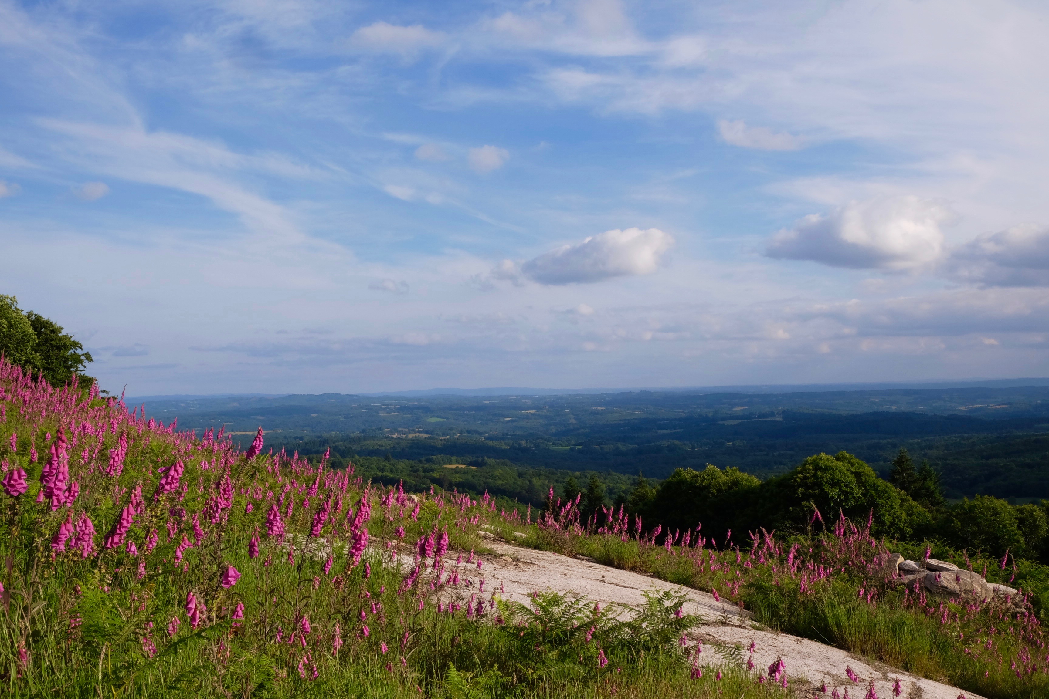 Rando-guide des Monts de Saint-Goussaud, Saint-Goussaud - photo 3