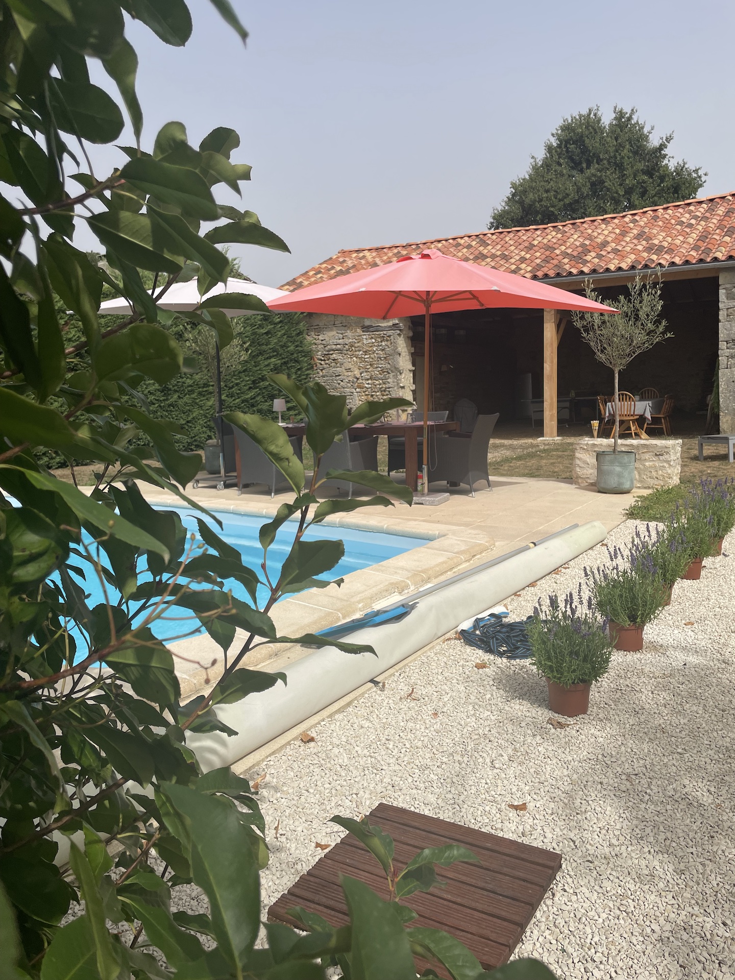 Le Rêve de Breuillac, Surin - photo 8