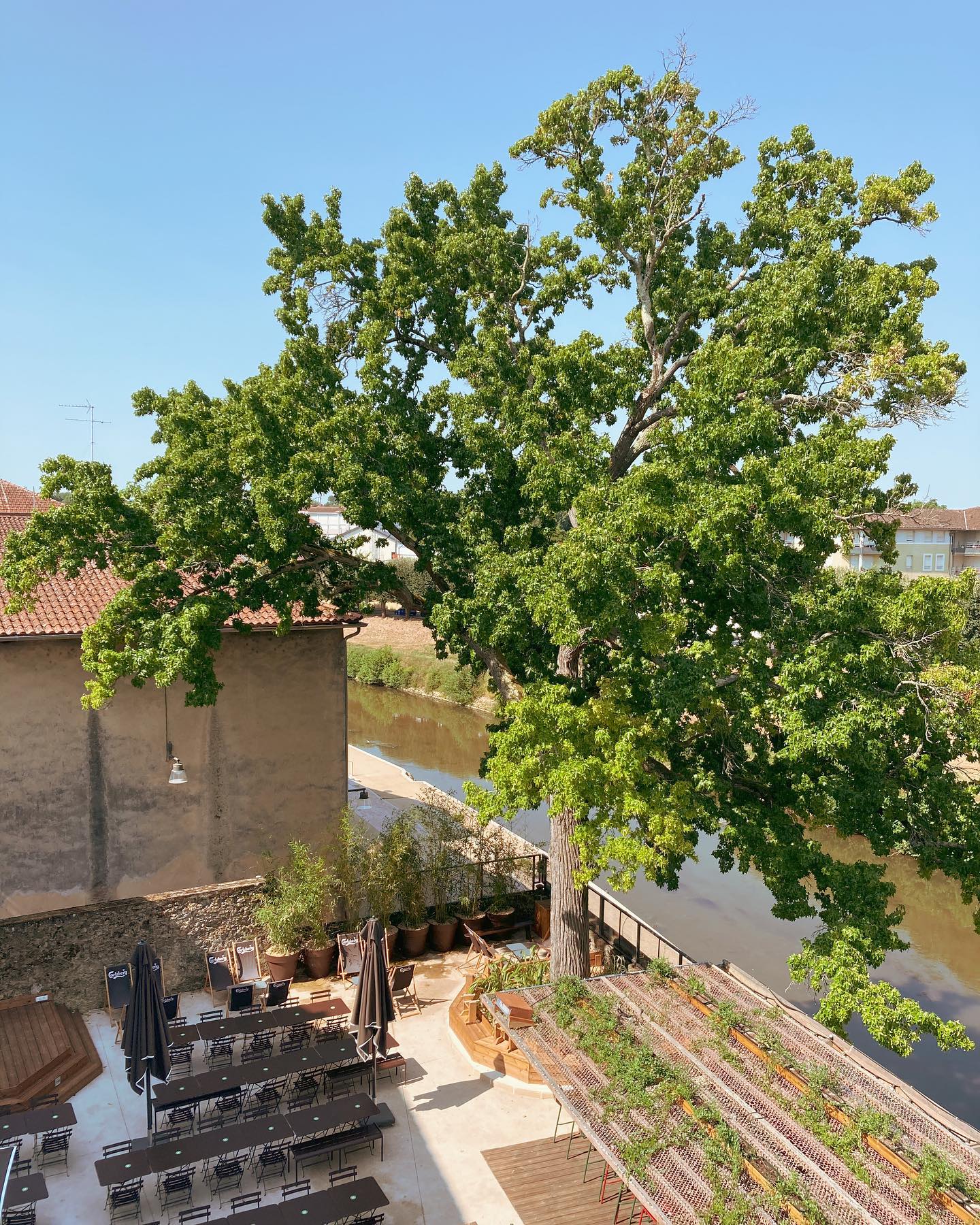 O' Green Oak, Mont-de-Marsan - photo 5