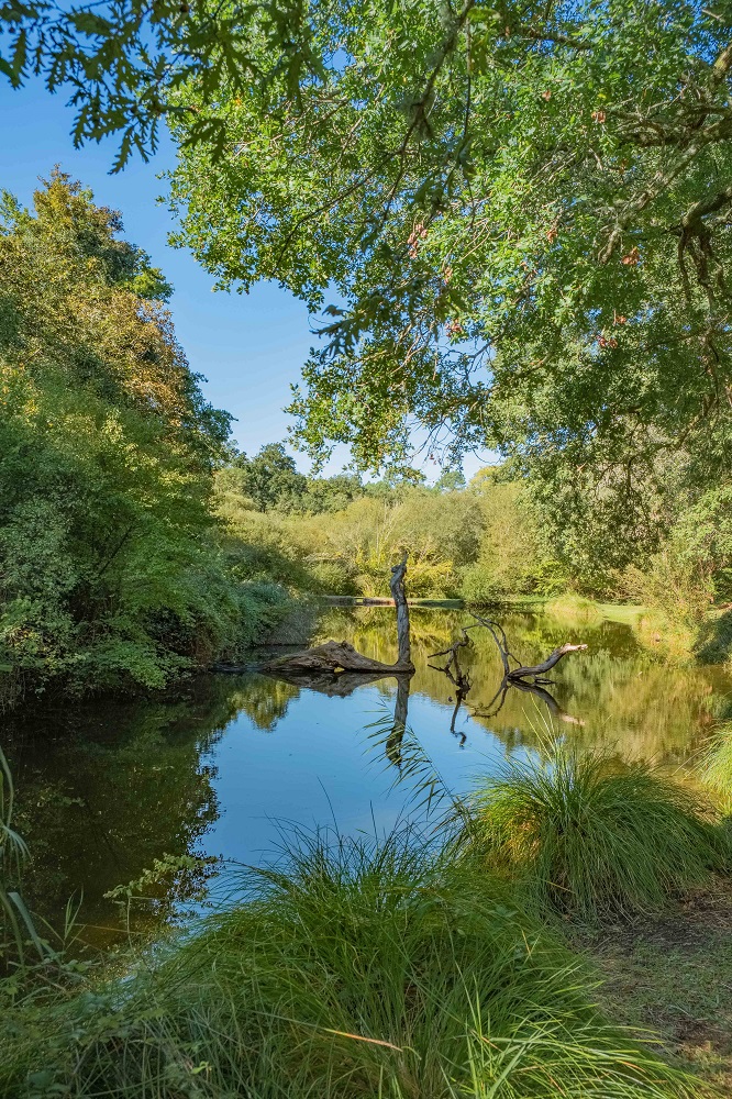Site des Neuf Fontaines, Bostens - photo 9