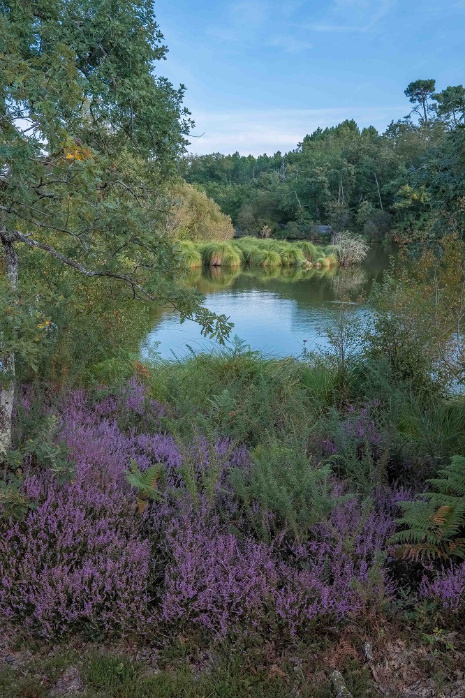 Site des Neuf Fontaines, Bostens - photo 7