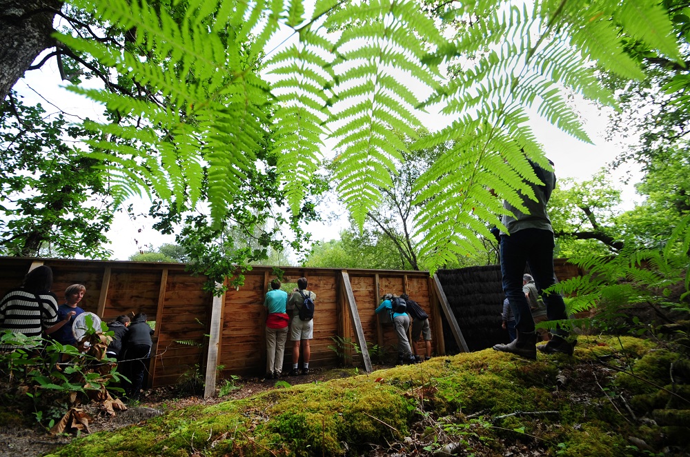 Site des Neuf Fontaines, Bostens - photo 5