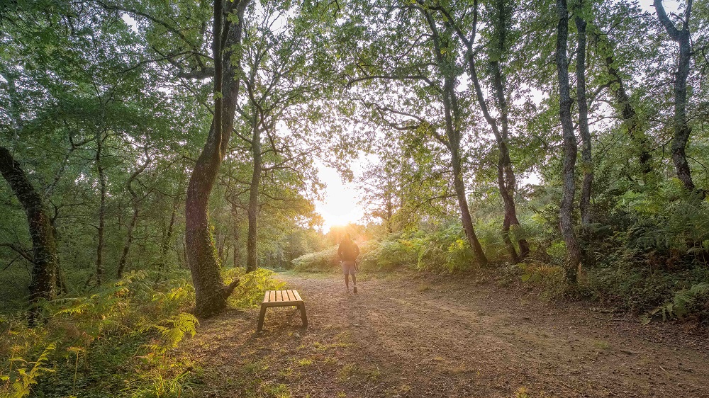 Site des Neuf Fontaines, Bostens