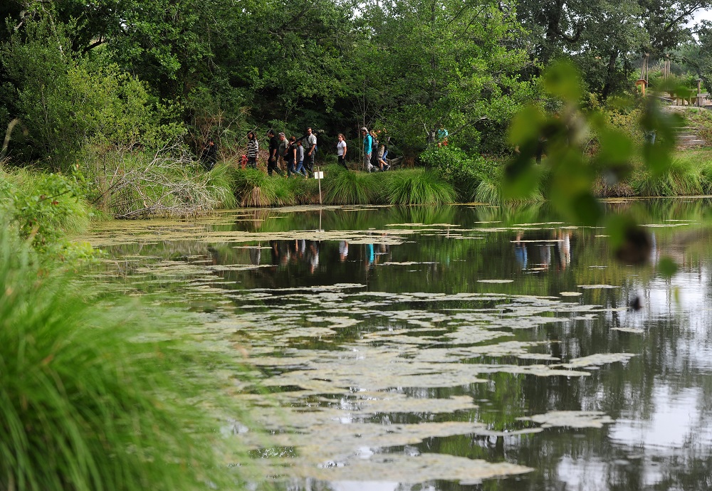 Site des Neuf Fontaines, Bostens - photo 8