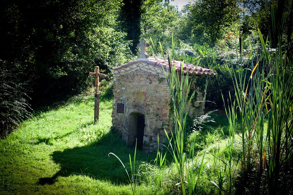 Zone humide de Limac