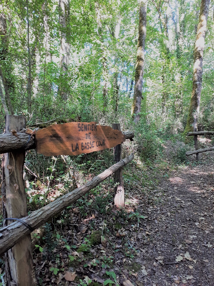 Site de Castets, Bougue - photo 8