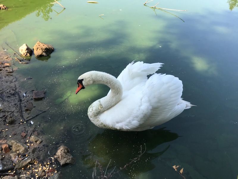 Villa des Pins - photo 5