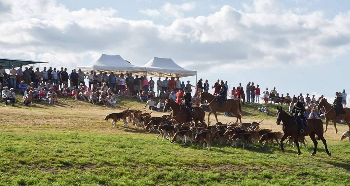 Fête de la Chasse — visuel événement