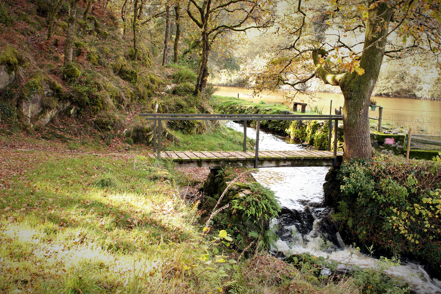 Circuit pédestre n° 6 Randoguide la Faille des Trois Provinces - photo 3