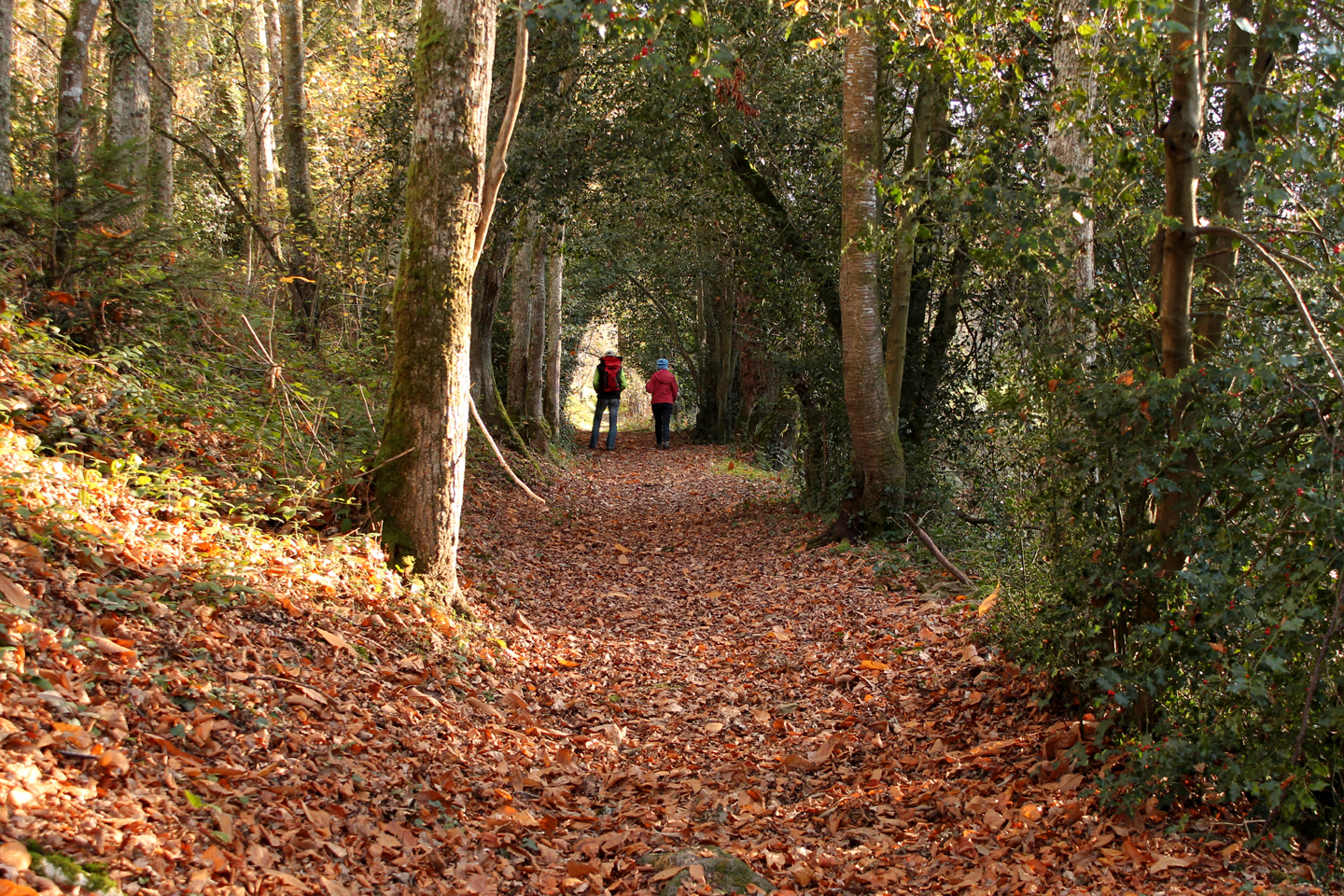 Circuit pédestre n° 6 Randoguide la Faille des Trois Provinces