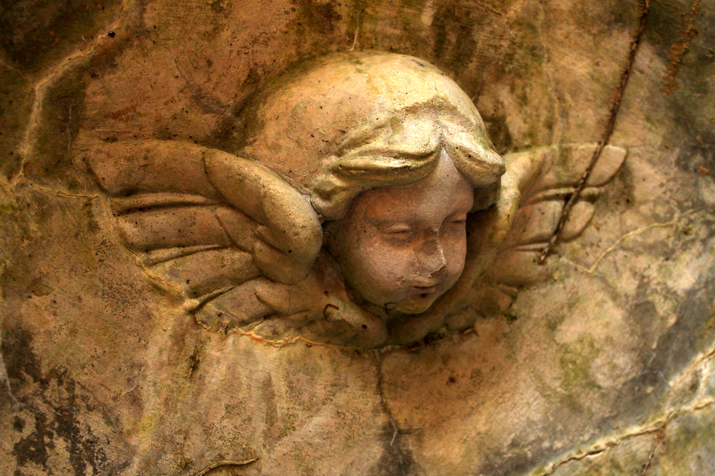 Circuit pédestre n° 6 Randoguide la Faille des Trois Provinces - photo 4