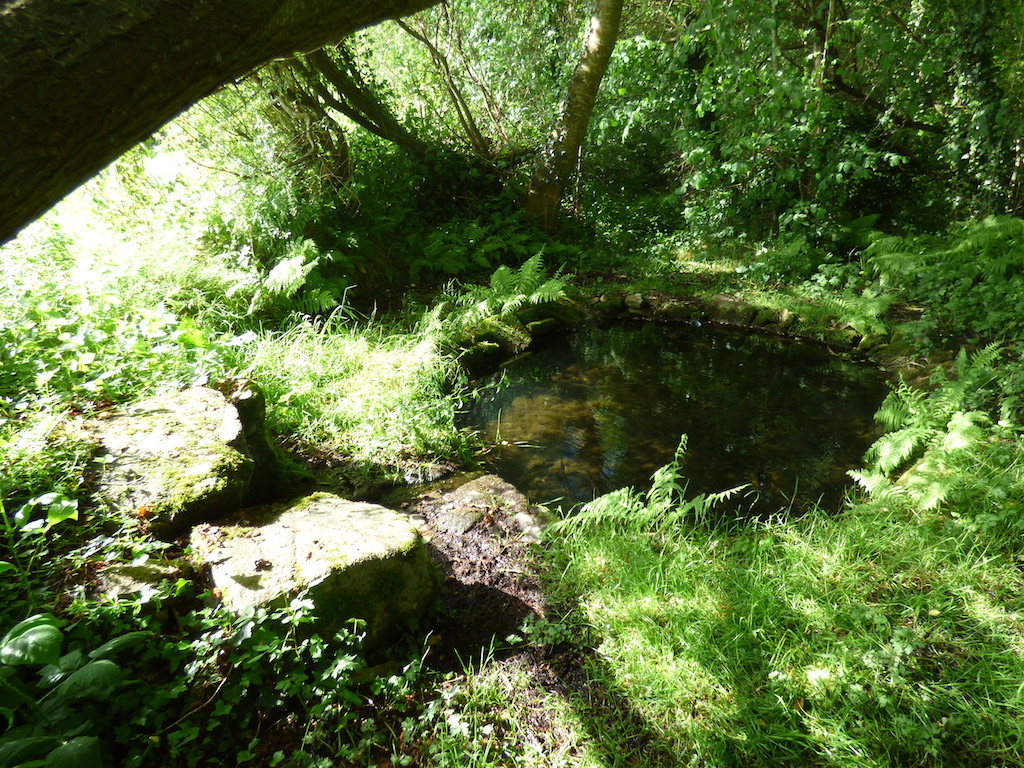 Circuit pédestre n° 9 Randoguide des étangs de la Cazine, Noth - photo 3