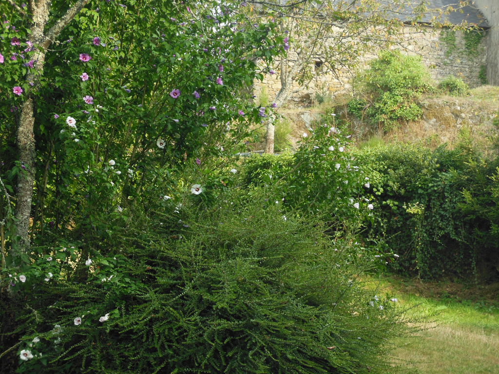 Circuit pédestre n°1 Sur les hauteurs d'Azérables, Azerables - photo 2