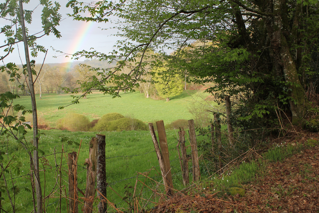 Circuit pédestre n°8 du Mas à la Cazine