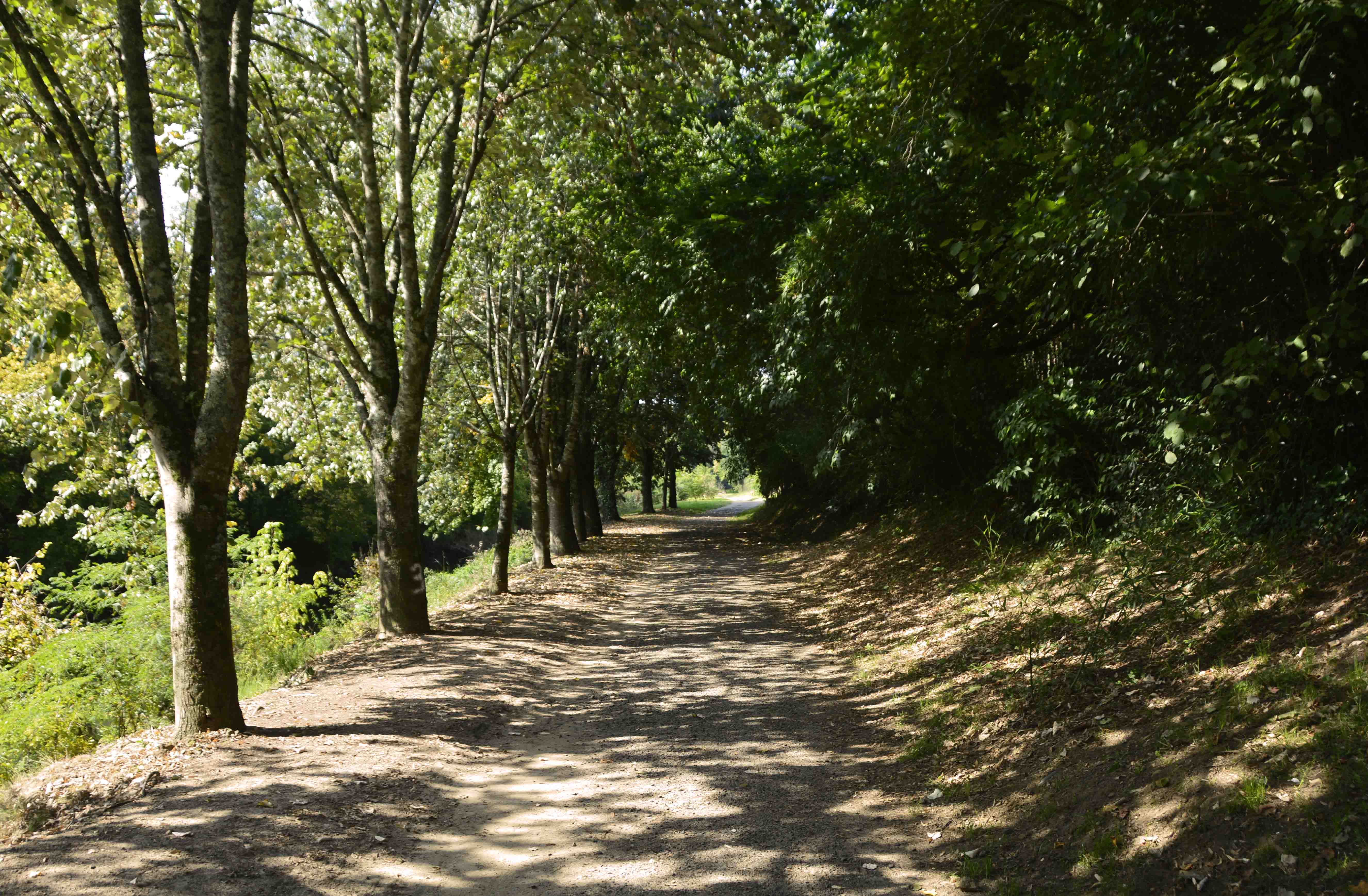 Le chemin de halage, Mont-de-Marsan - photo 2