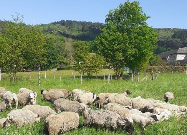 Ferme de Cornil — photo 2