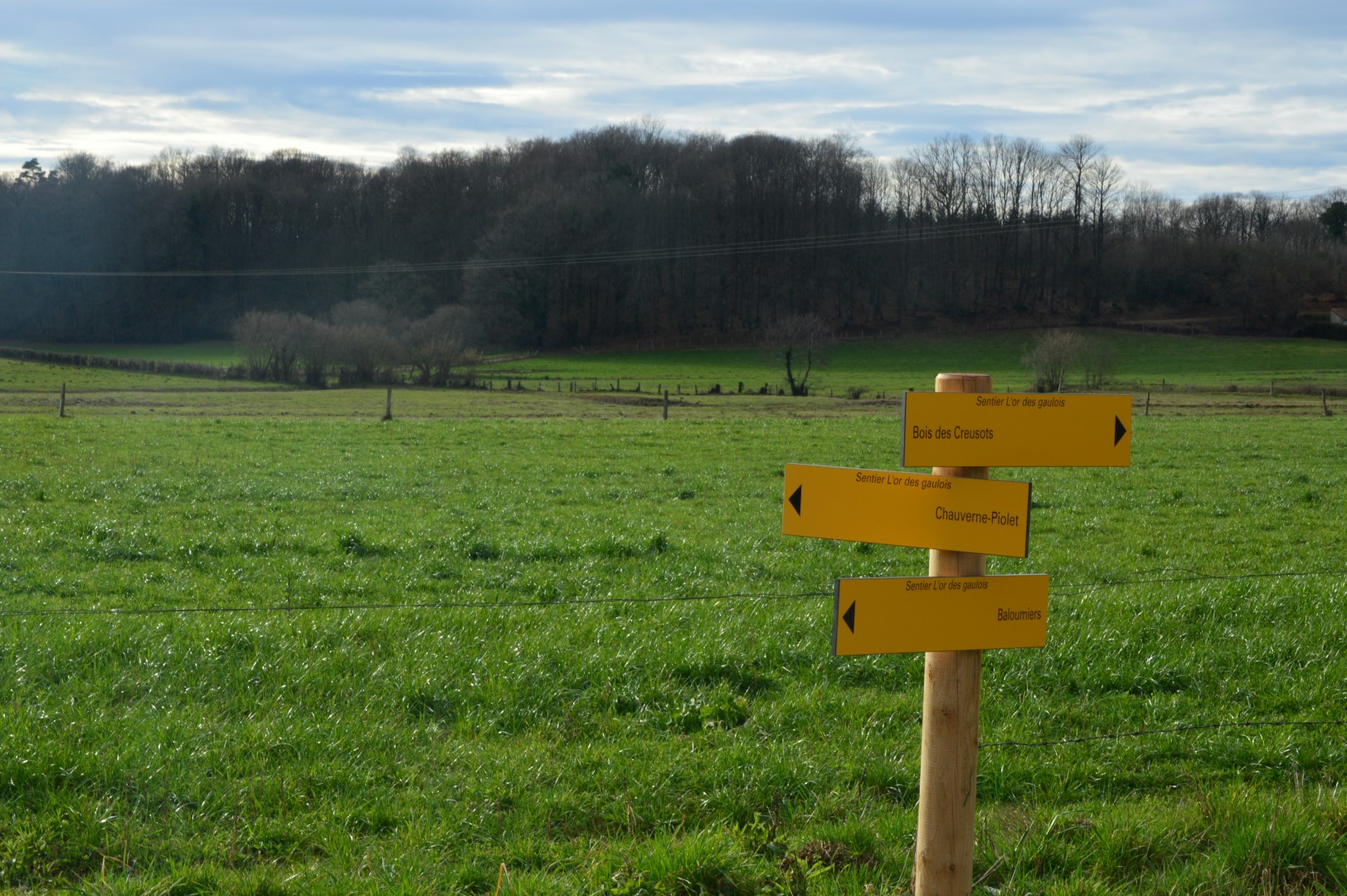 Circuit pédestre N°58 : "L'Or des Gaulois" — photo 2