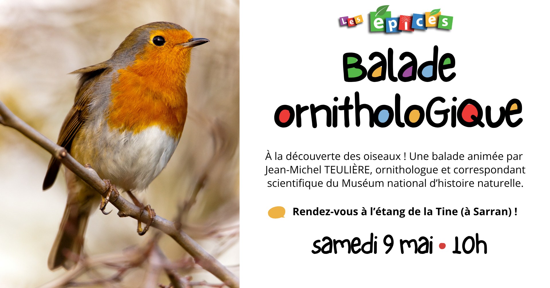 Balade ornithologique — visuel événement
