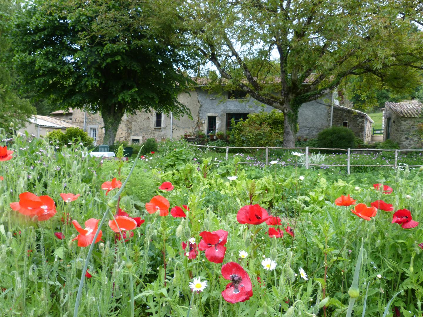 Chambre d'hôtes Fenioux, Fenioux - photo 3