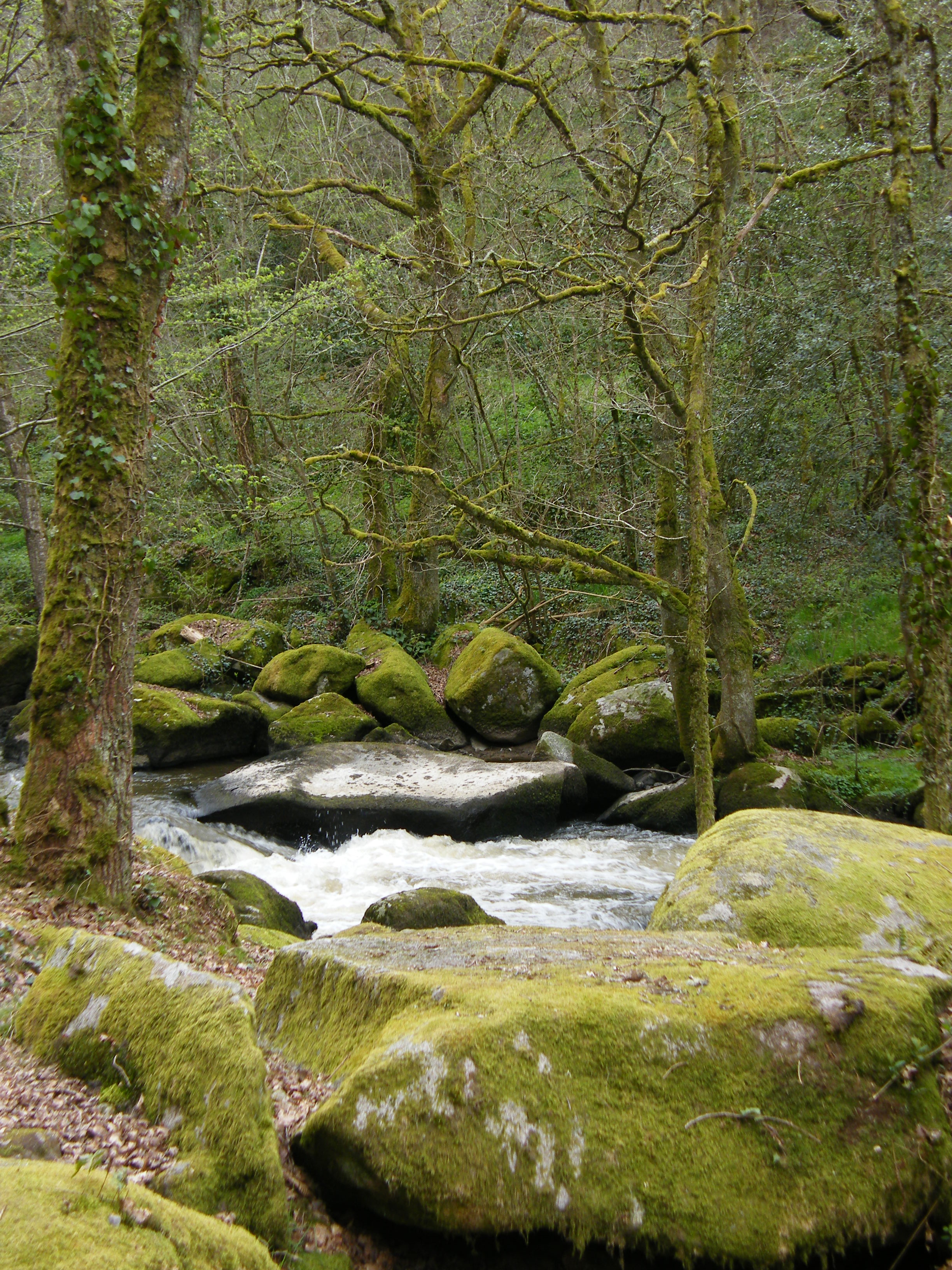 Circuit VTT n°39, La Chapelle-Baloue - photo 3