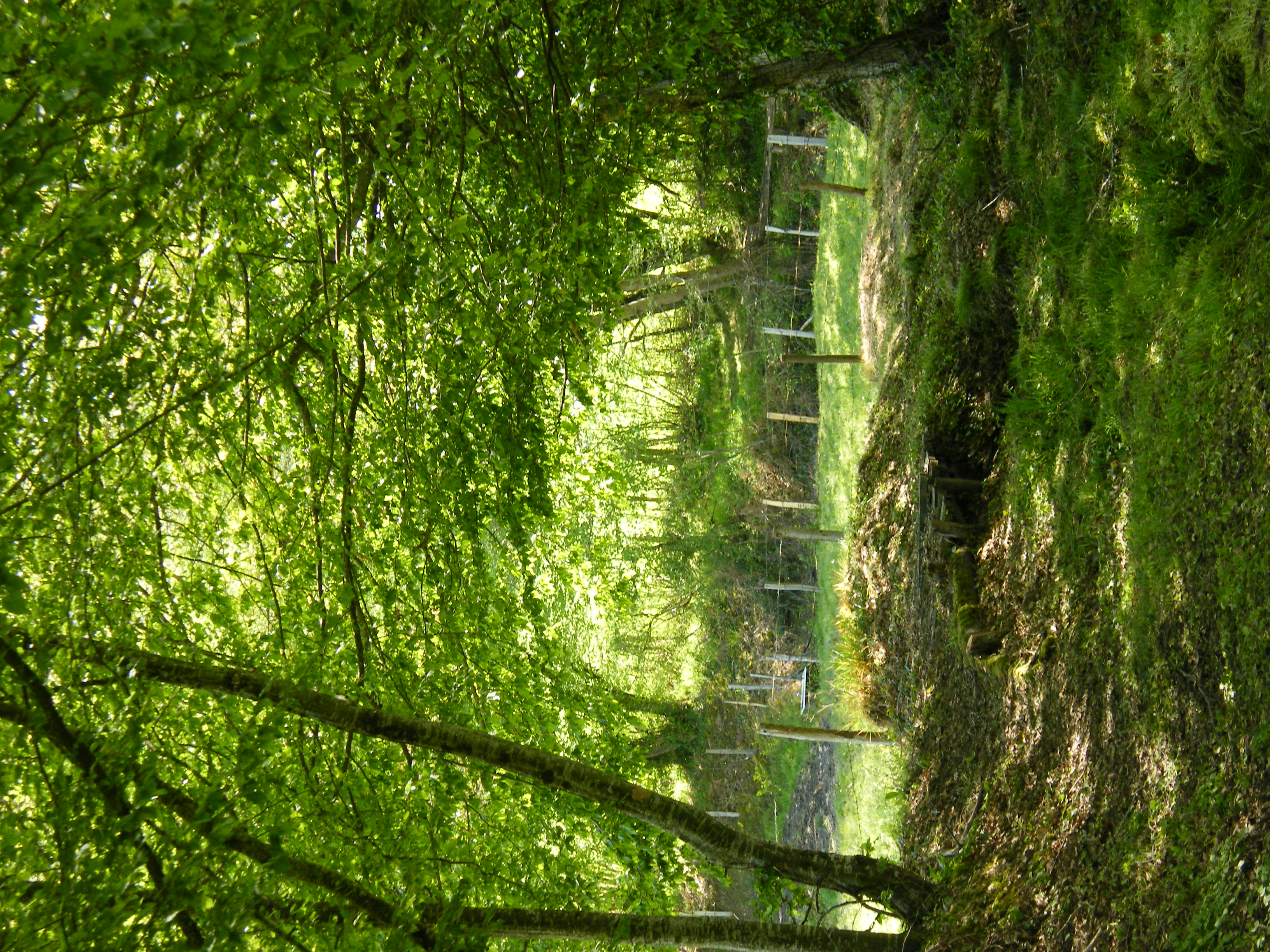 Circuit pédestre D'eau et de quartz NZ1