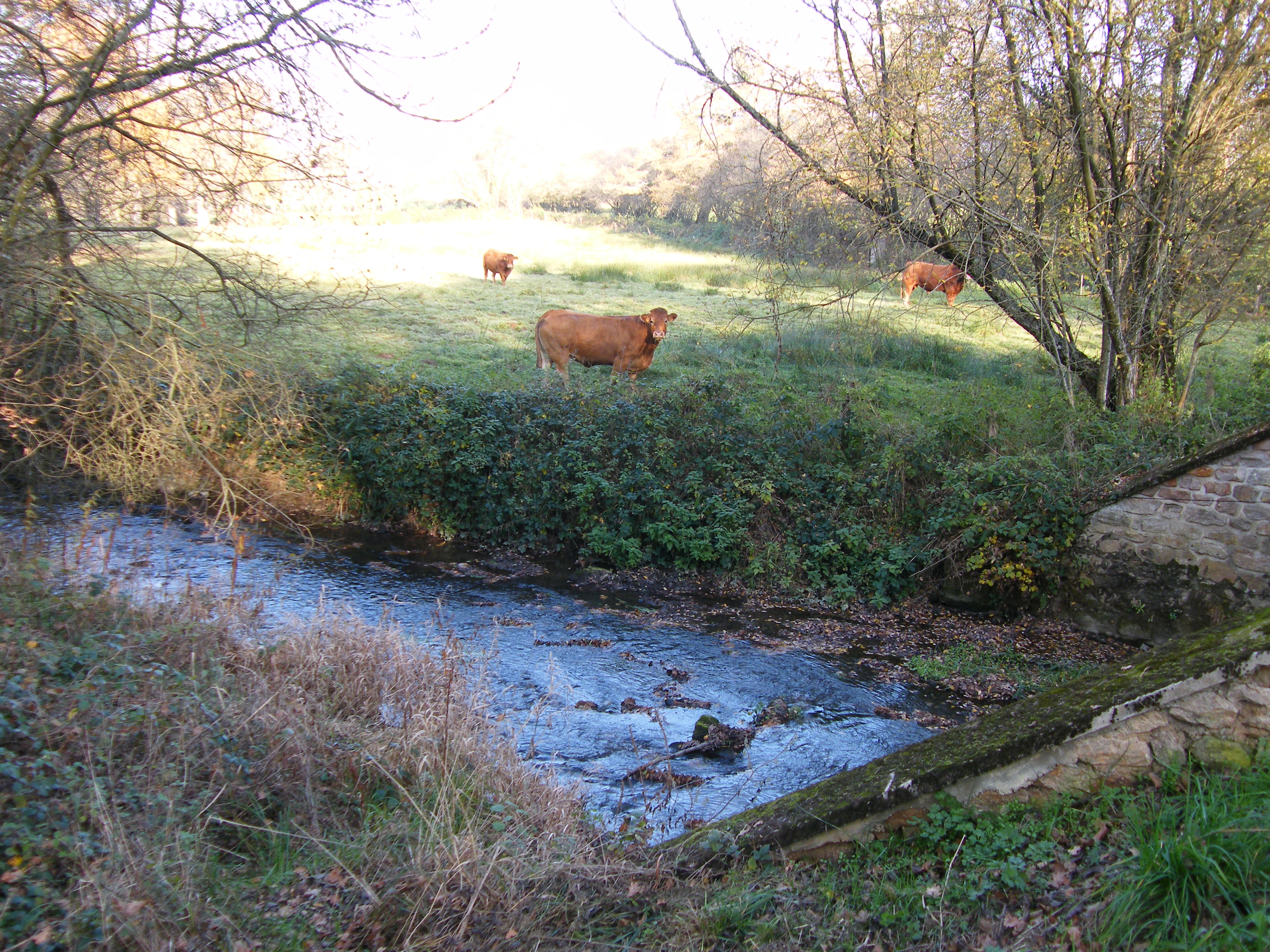 Circuit pédestre La Vallée de la Brézentine SA1, Sagnat