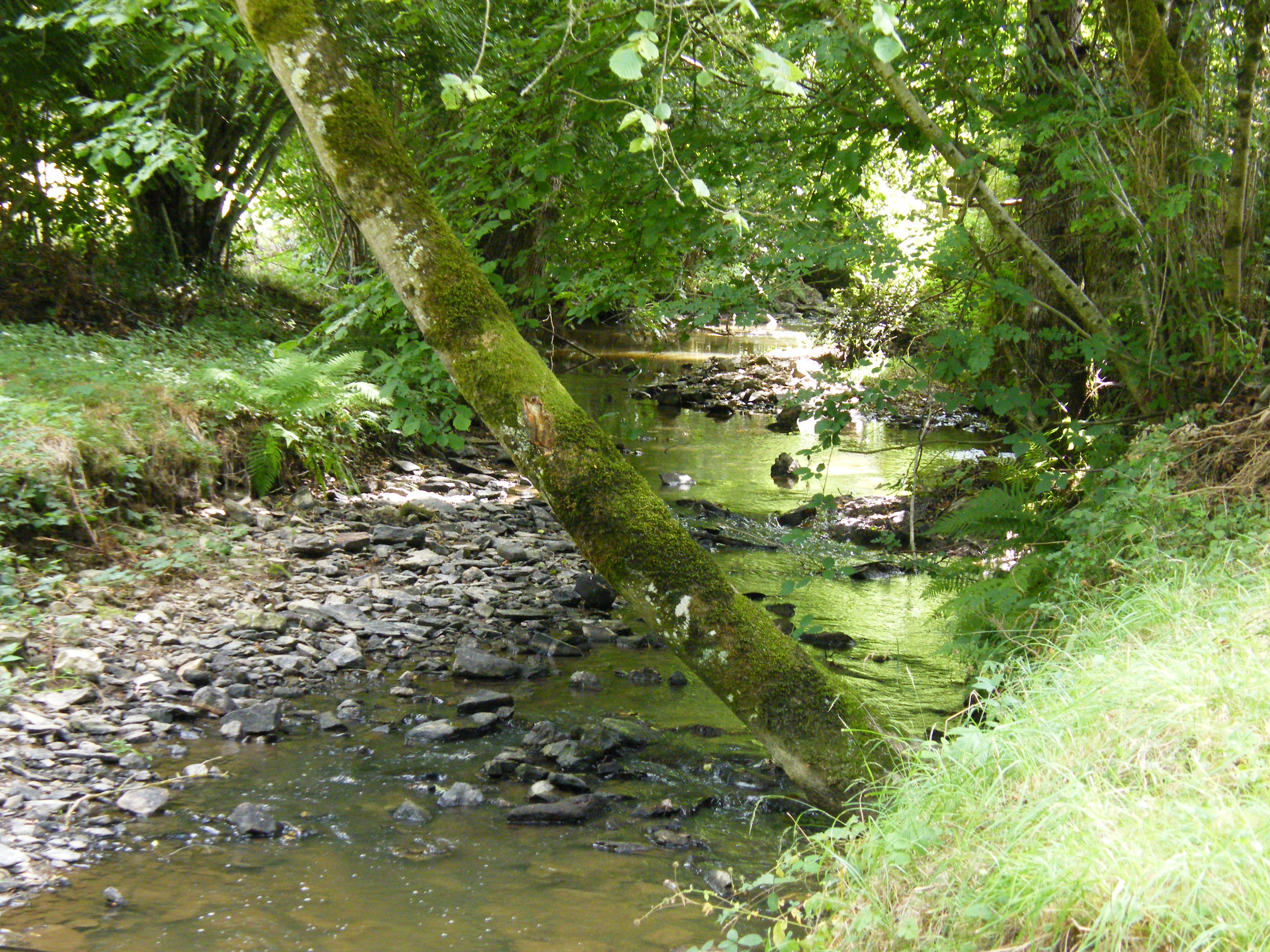 Circuit pédestre La Planche aux Pèlerins SB2, Saint-Sébastien