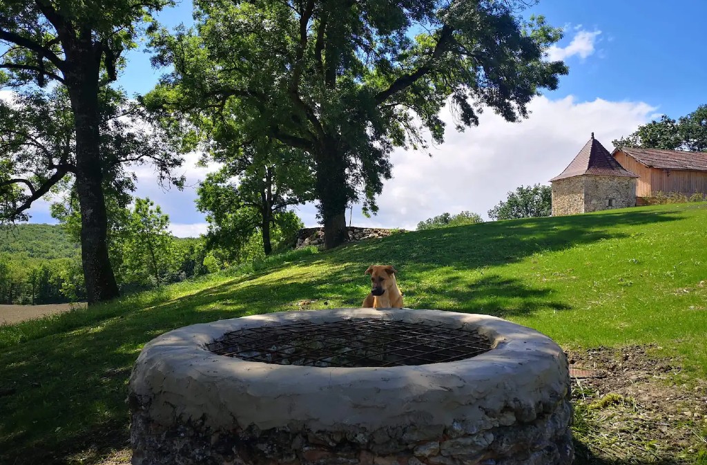 Le Séchoir de Quentin, Rampieux - photo 11