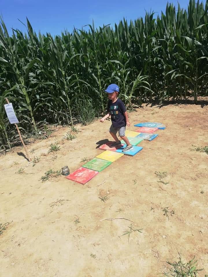 Le labyrinthe de Chalosse