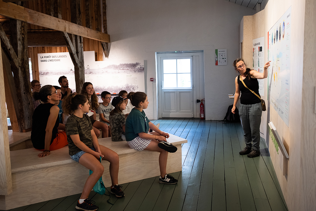Graine de forêt - Centre de découverte de la forêt des Landes, Garein - photo 12