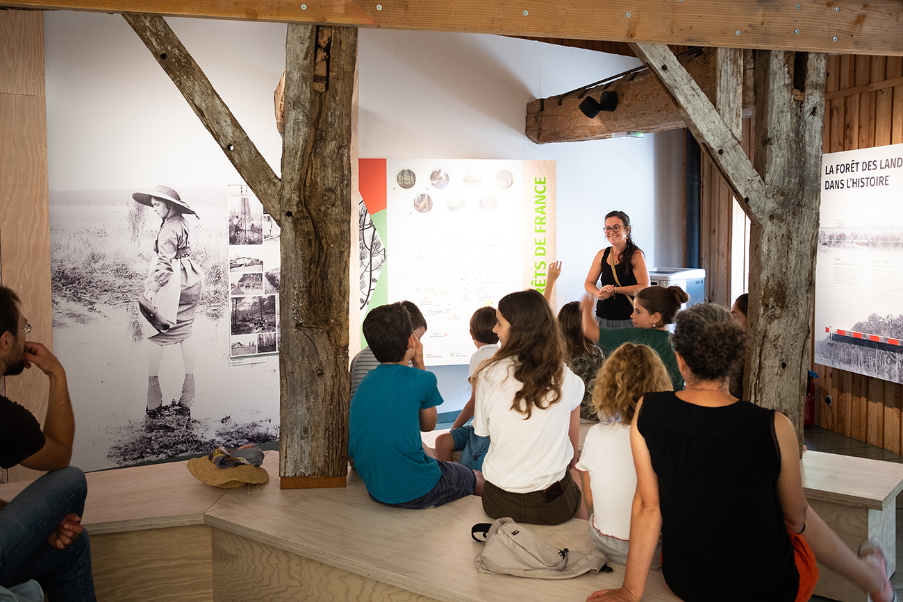 Graine de forêt - Centre de découverte de la forêt des Landes, Garein - photo 3