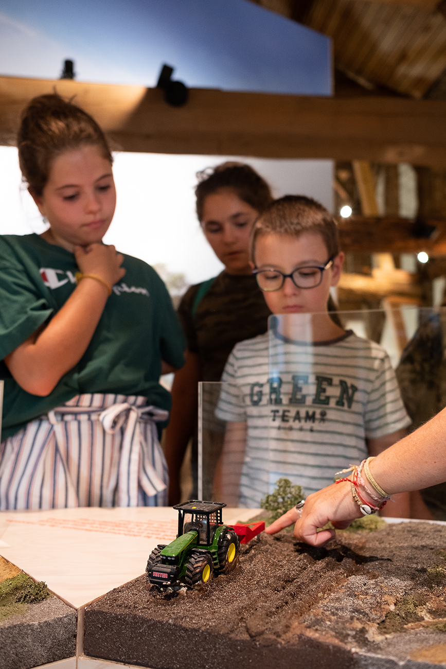 Graine de forêt - Centre de découverte de la forêt des Landes, Garein - photo 8