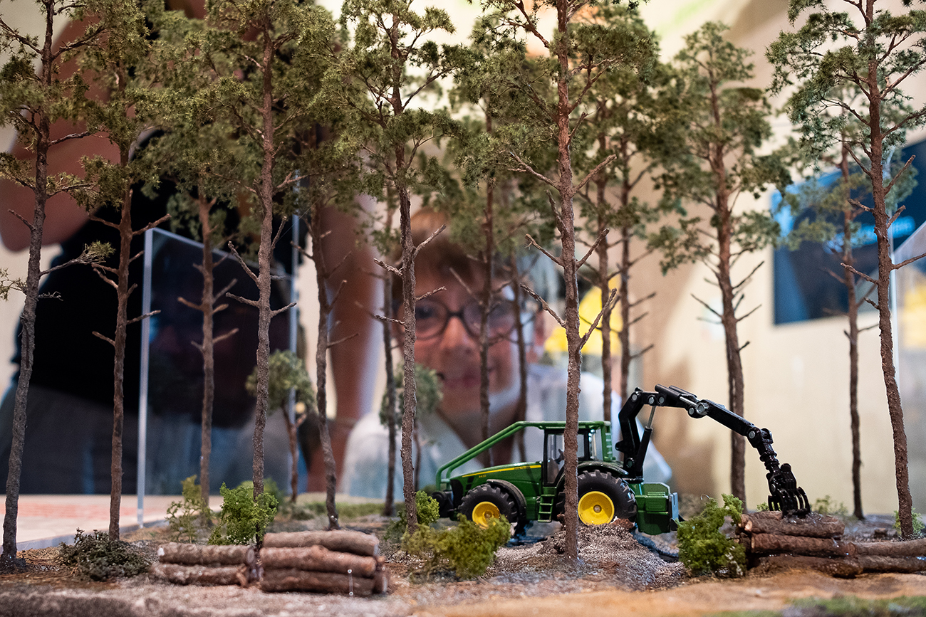 Graine de forêt - Centre de découverte de la forêt des Landes, Garein - photo 15