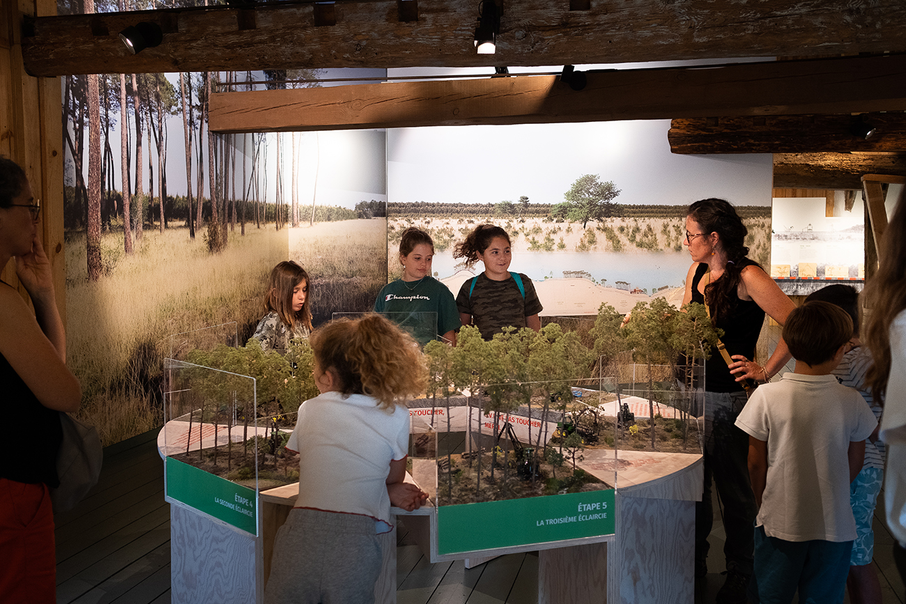 Graine de forêt - Centre de découverte de la forêt des Landes, Garein - photo 9