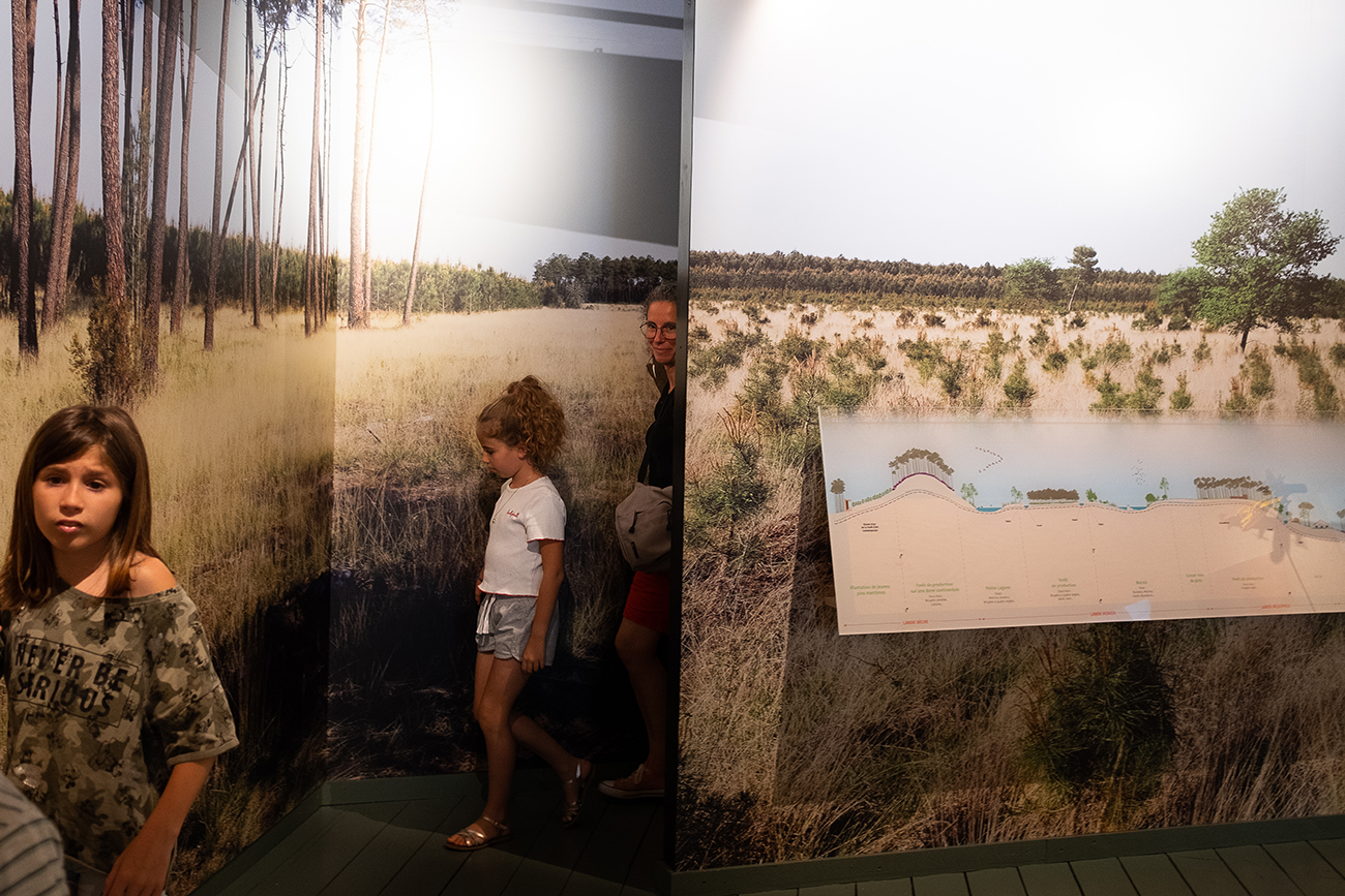 Graine de forêt - Centre de découverte de la forêt des Landes, Garein - photo 7