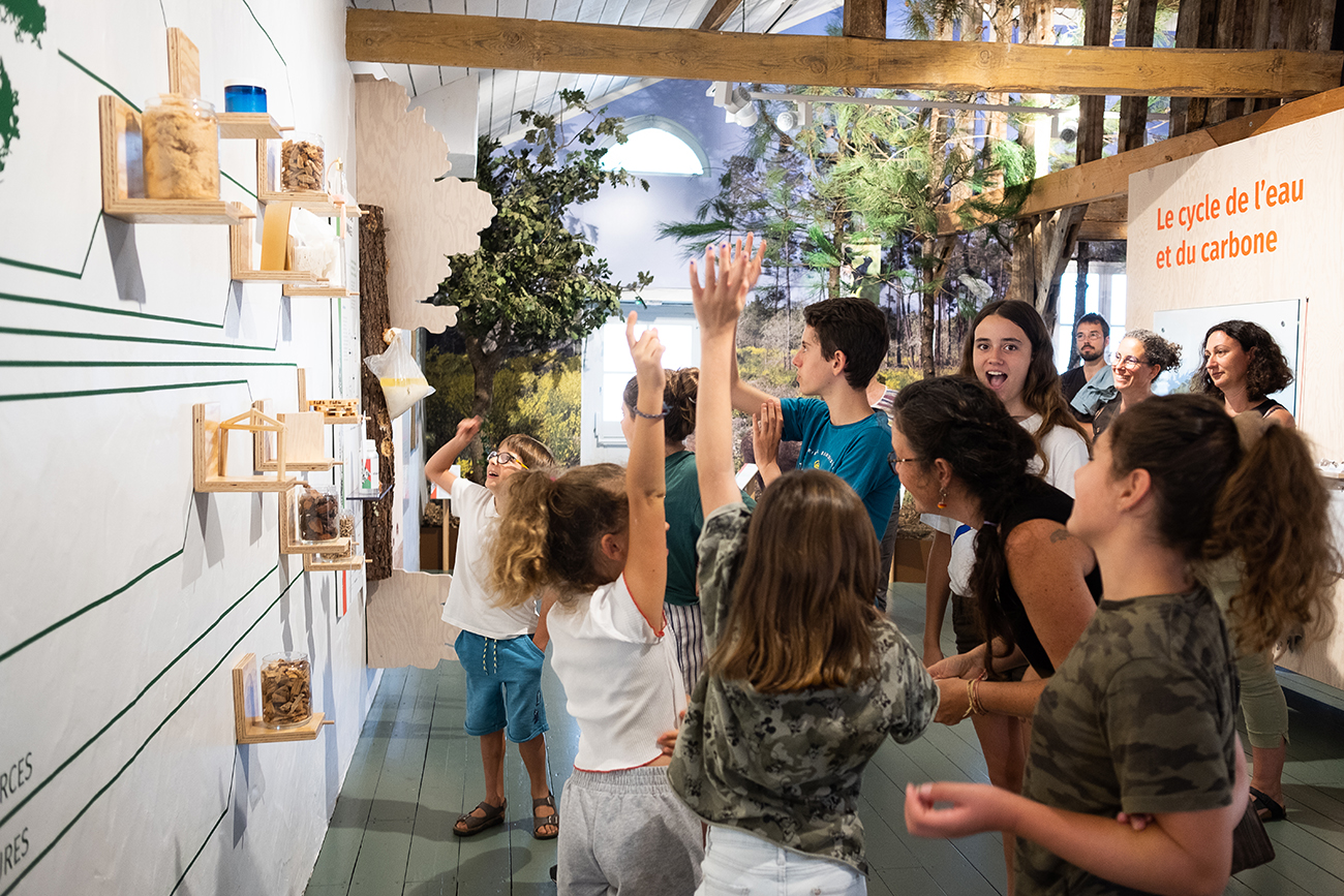 Graine de forêt - Centre de découverte de la forêt des Landes, Garein - photo 13