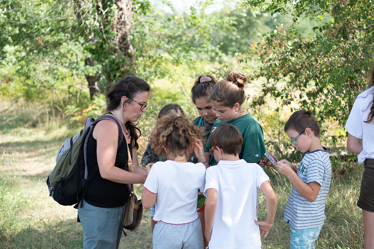 Graine de forêt - Centre de découverte de la forêt des Landes, Garein - photo 6