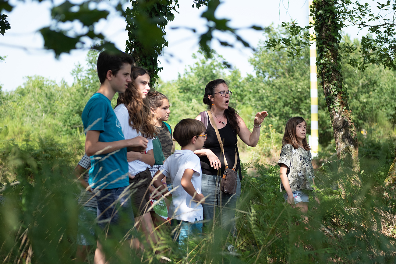 Graine de forêt - Centre de découverte de la forêt des Landes, Garein - photo 4