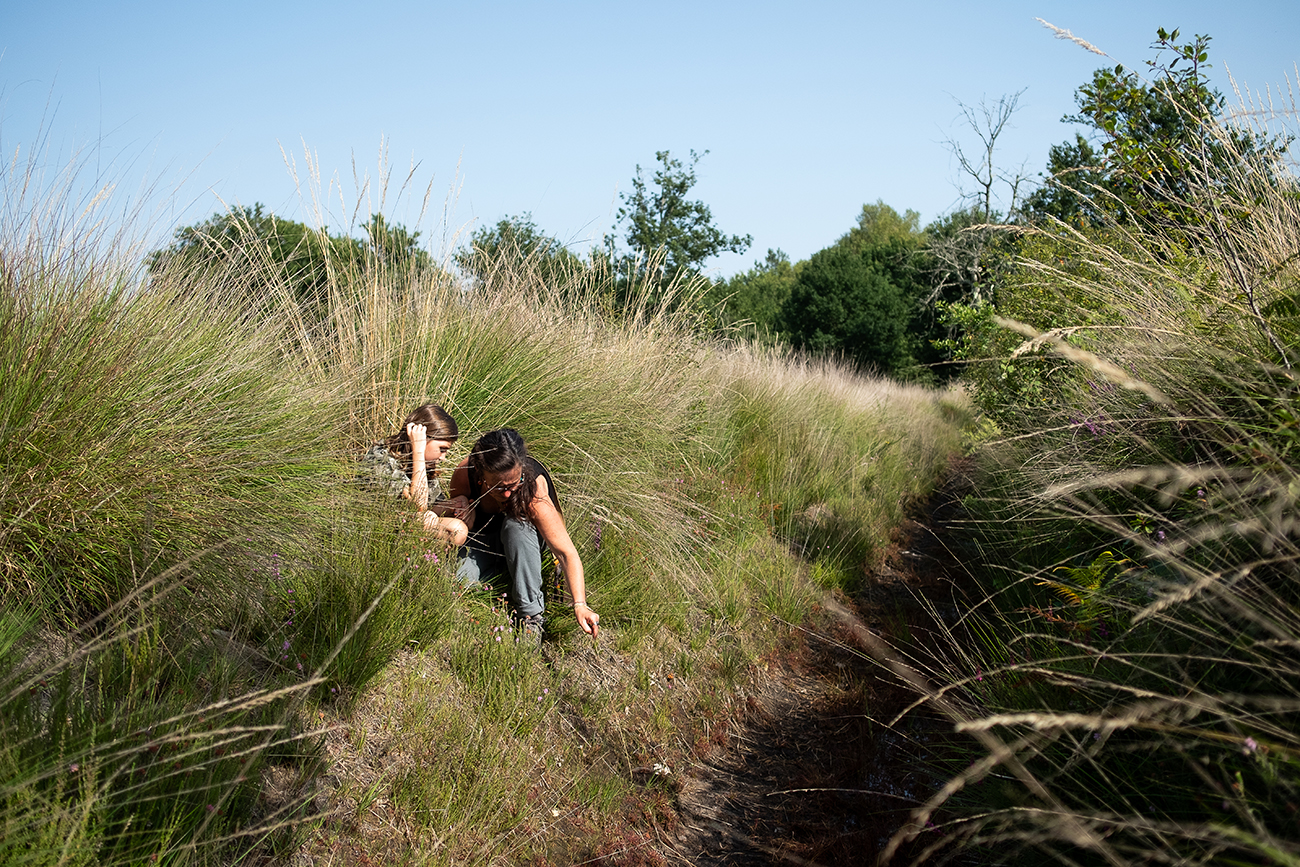 Graine de forêt - Centre de découverte de la forêt des Landes, Garein - photo 18