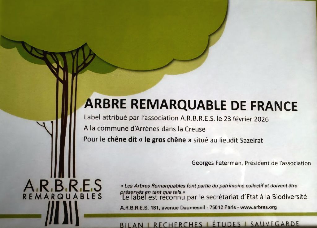 Chêne de Sazeirat, Arrènes - photo 5