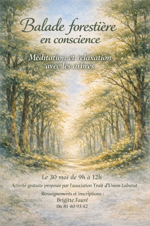 Balade forestière en conscience