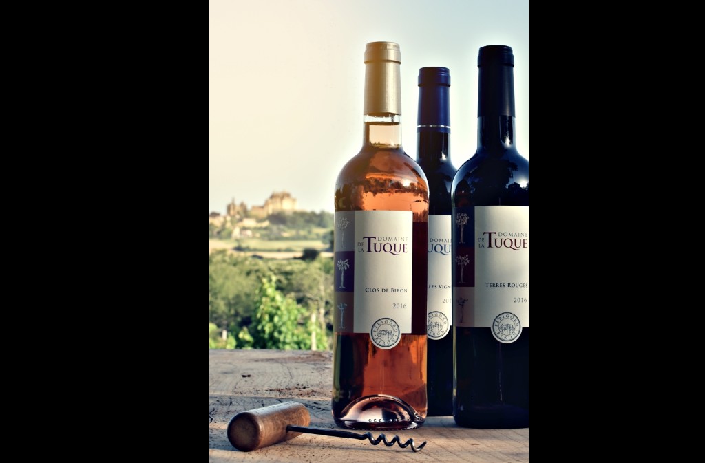 Domaine de la Tuque - photo 2