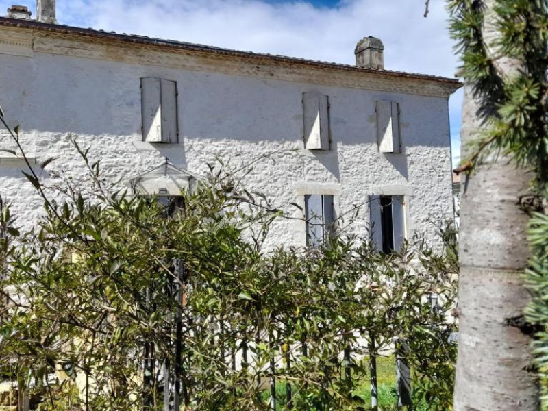 Le Clos des quatre lieues, Cartelègue - photo 11