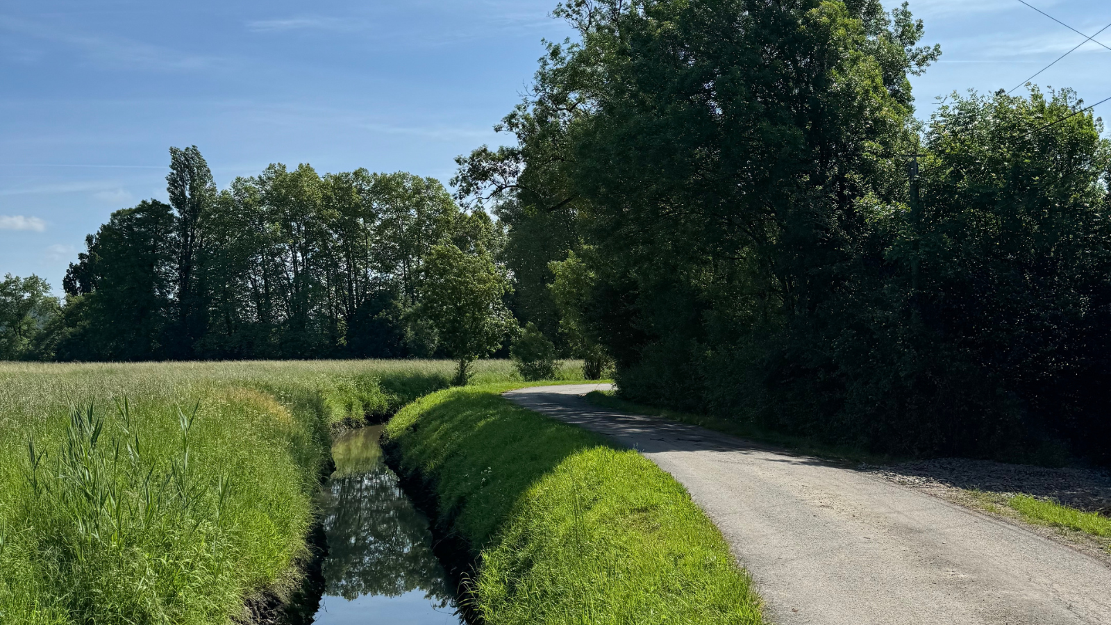 Boucle de la Bugonne - photo 4