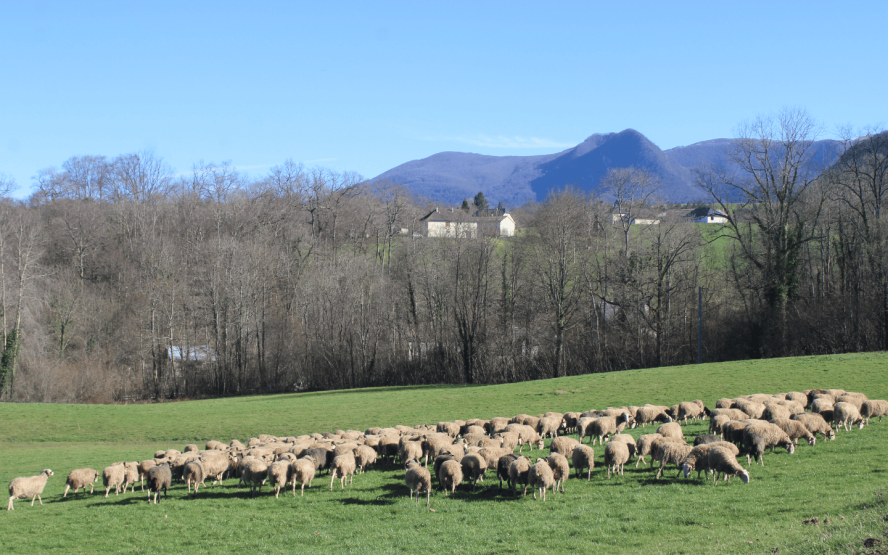 Image de présentation du lieu