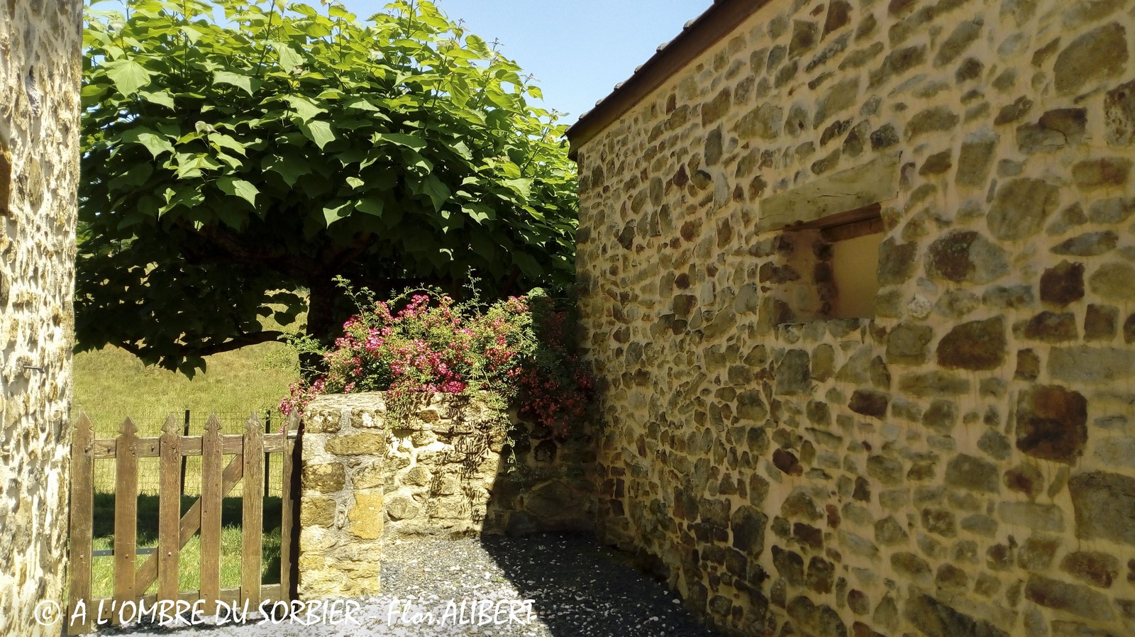 Chez La Louise - photo 4